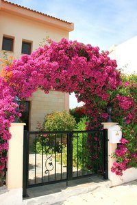 deco fleurie